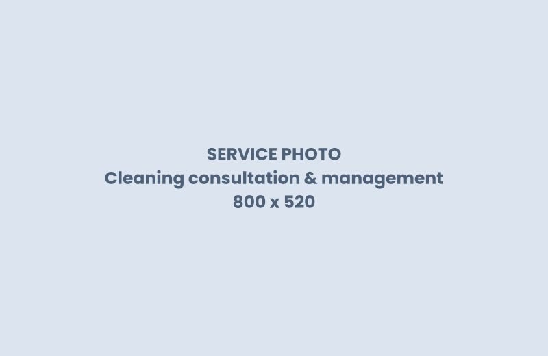 Cleaning consultation and management