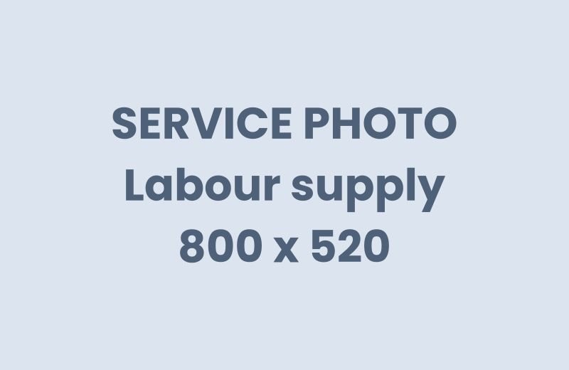 Labour supply services