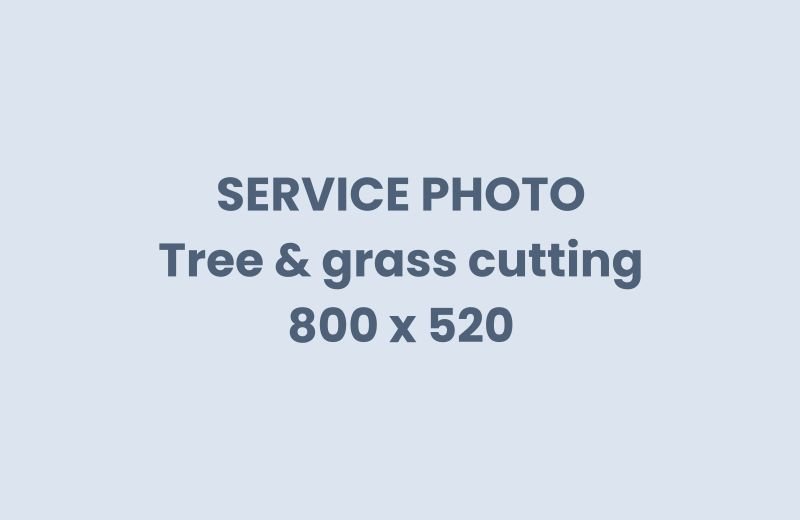 Tree and grass cutting